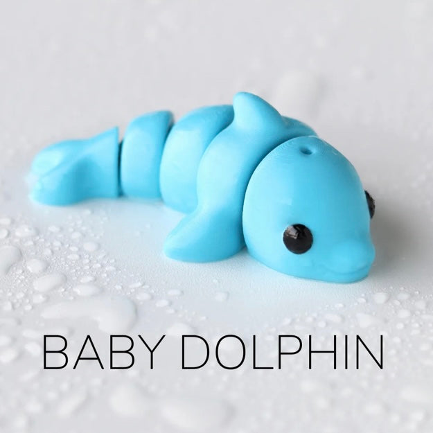 Baby Dolphin Fidget