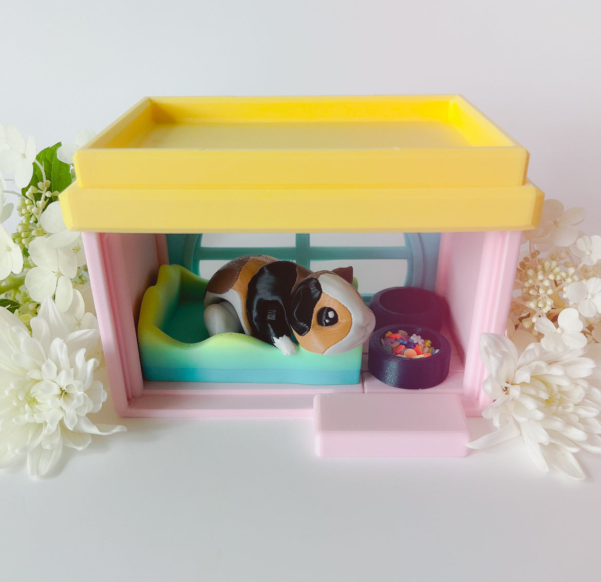 Cute Fidget Guinea Pig & House