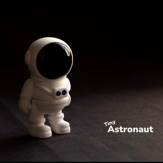 Fidget Astronaut