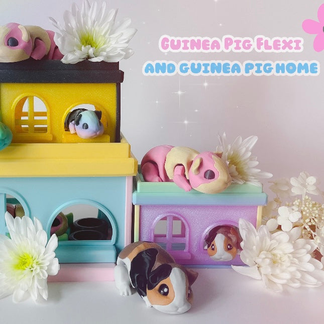 Cute Fidget Guinea Pig & House